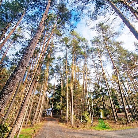 Bungalow Direkt Am See, Mit Eigenem Boot Roding Εξωτερικό φωτογραφία