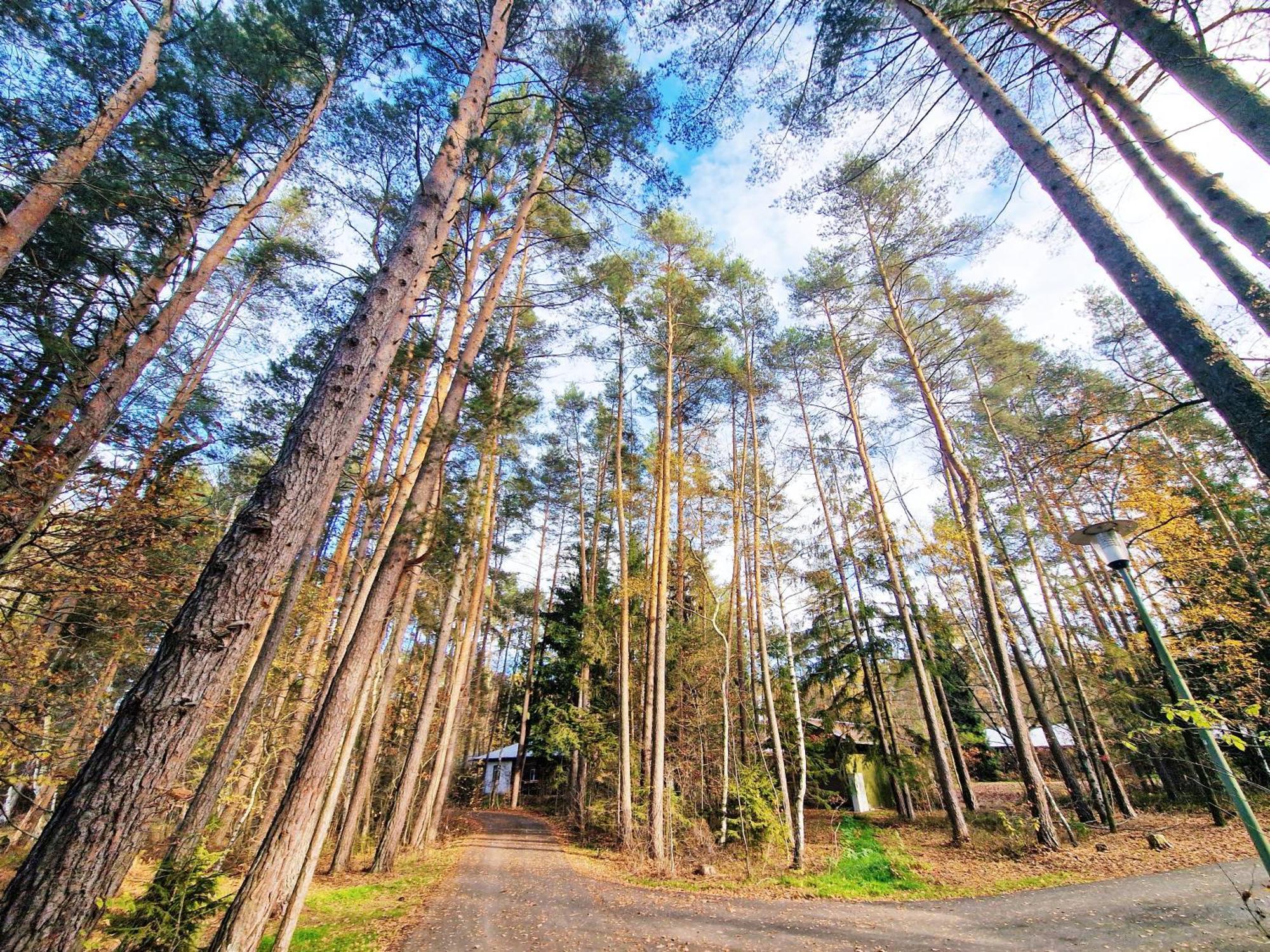 Bungalow Direkt Am See, Mit Eigenem Boot Roding Εξωτερικό φωτογραφία