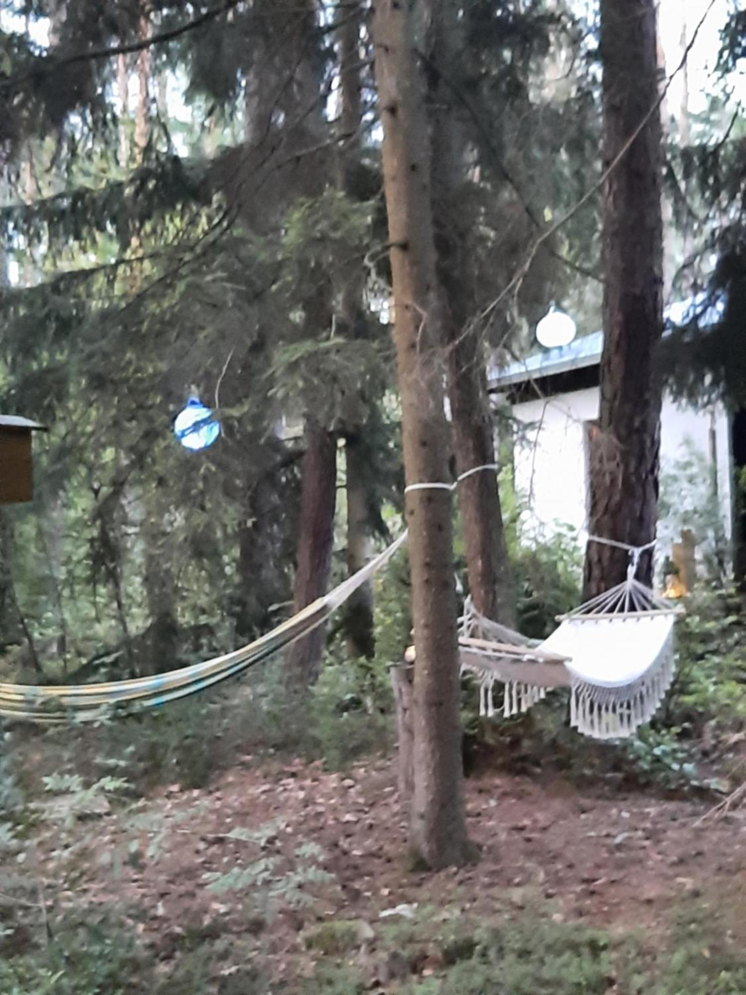 Bungalow Direkt Am See, Mit Eigenem Boot Roding Εξωτερικό φωτογραφία
