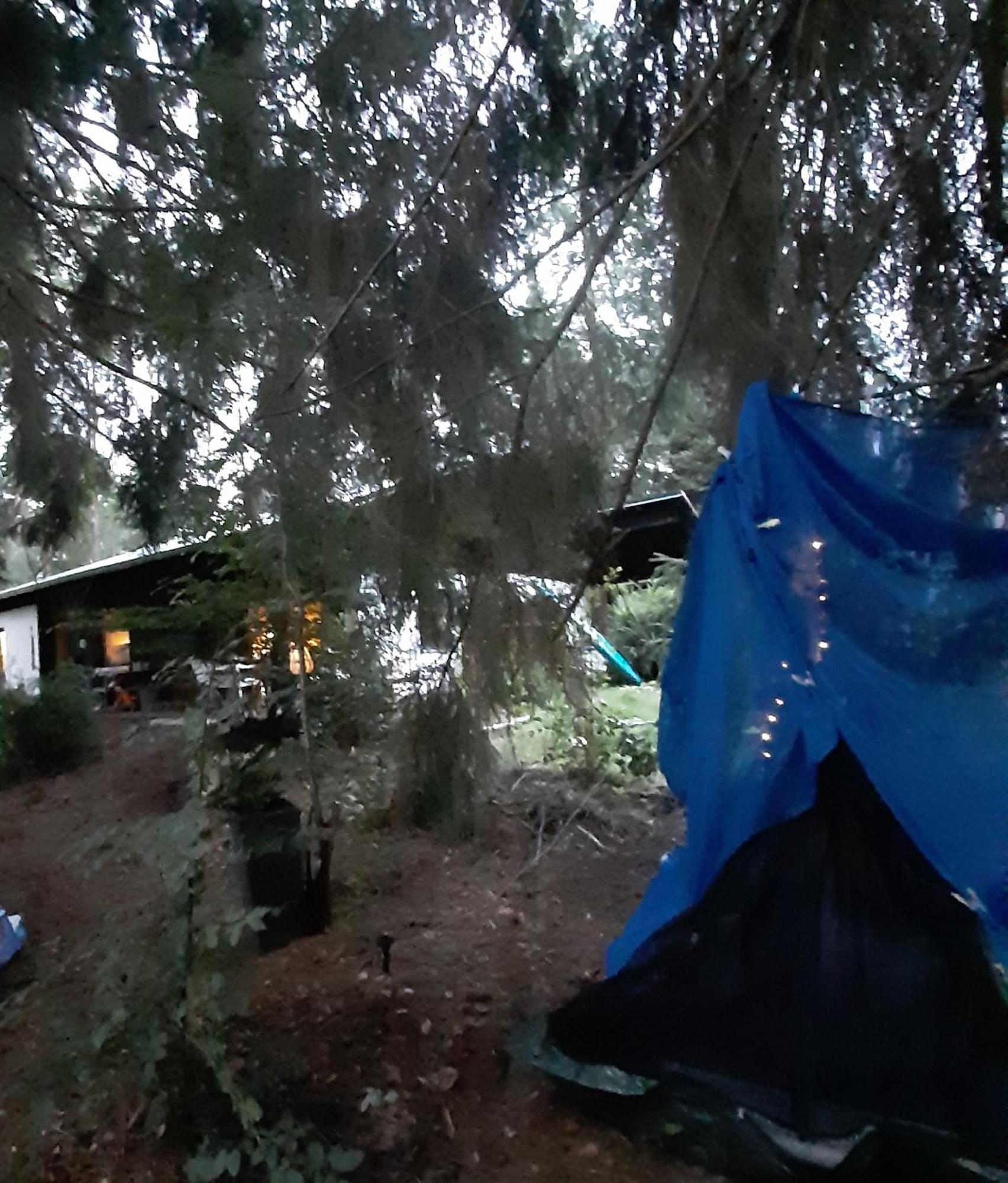 Bungalow Direkt Am See, Mit Eigenem Boot Roding Εξωτερικό φωτογραφία
